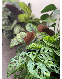 Box Surpresa personalizada 10