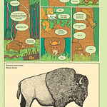 ¿Cómo se va a Yellowstone?