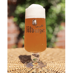 COPA BITBURGER 250CC