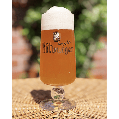 COPA BITBURGER 250CC