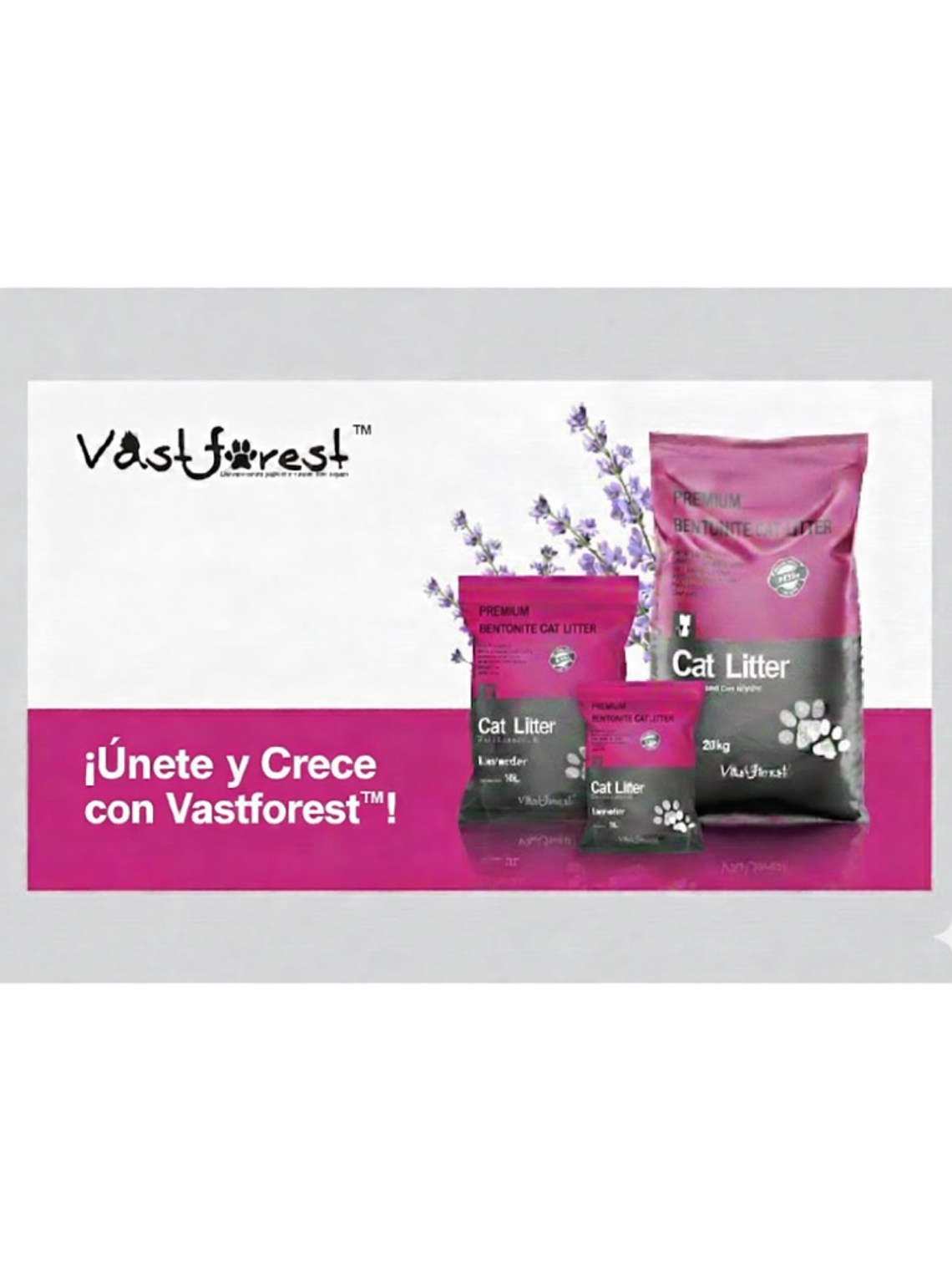 Crece con nosotros: Únete a la red oficial de distribuidores de Arena para Gatos  Vastforest 1