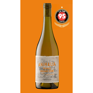 Vino Animalia Orange Wine Sauvignon Blanc