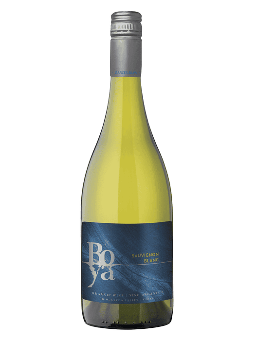 Vino Boya Sauvignon Blanc 2