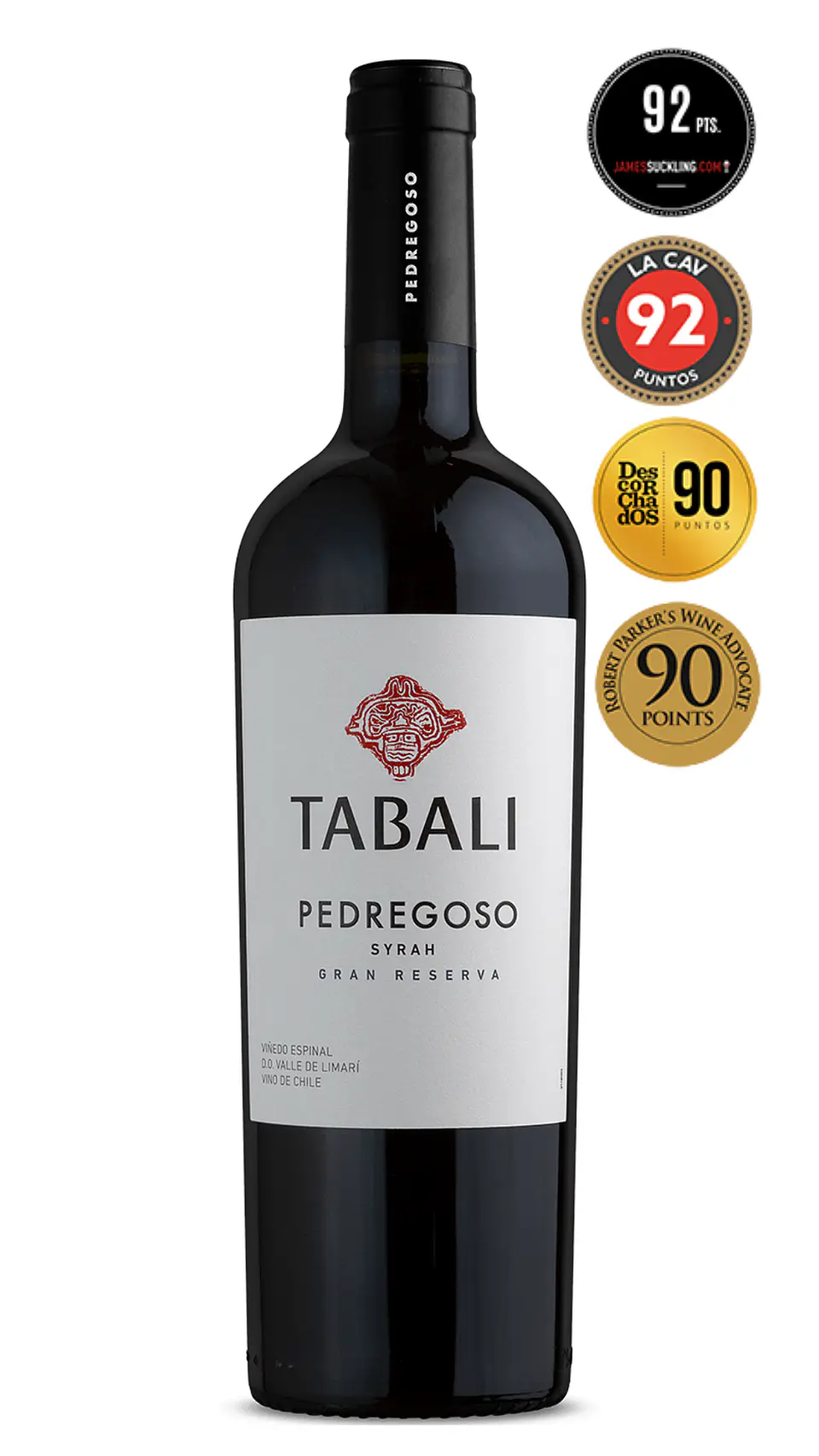Vino Pedregoso Syrah 1