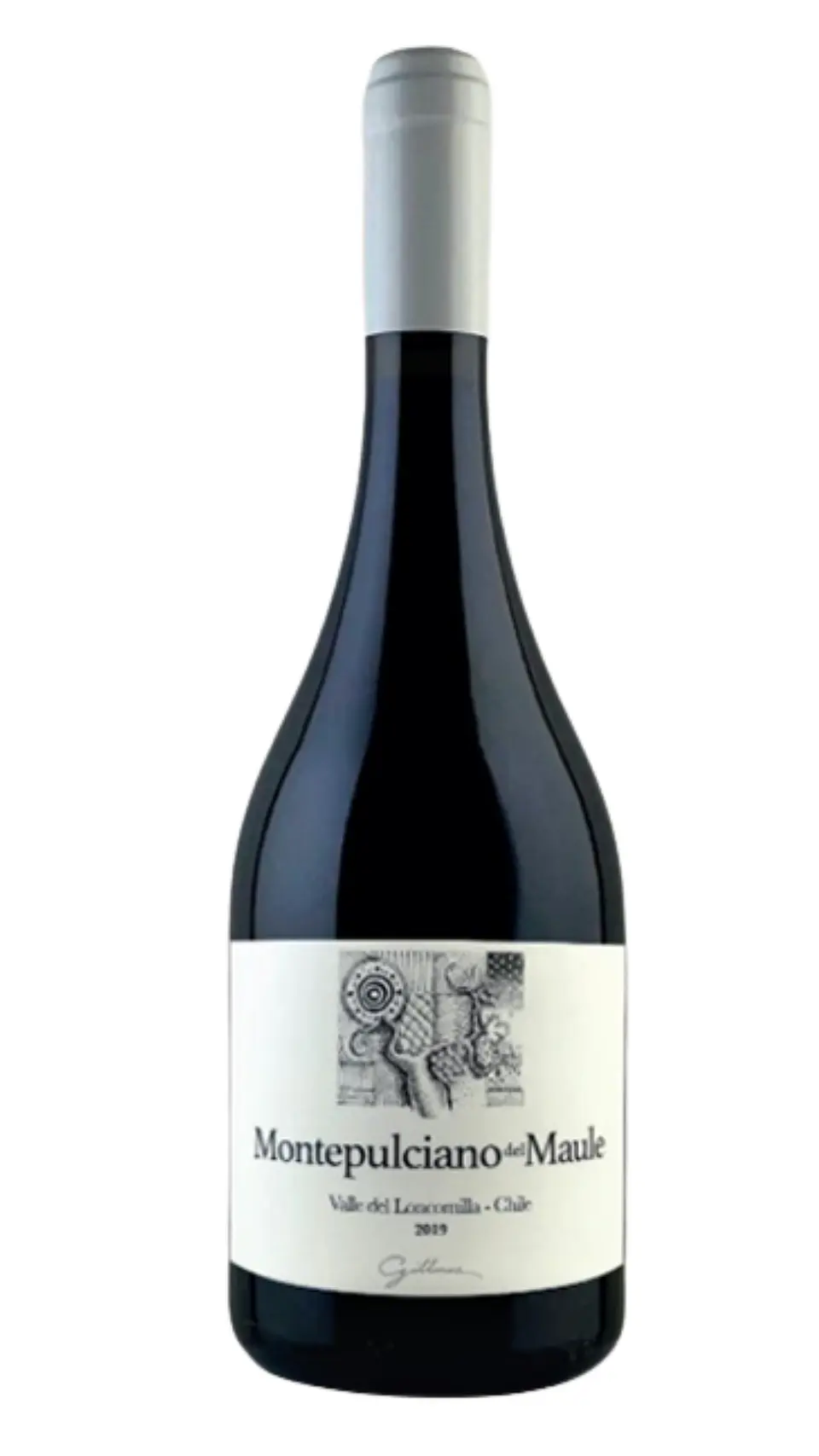 Vino Gillmore Montepulciano Del Maule 2