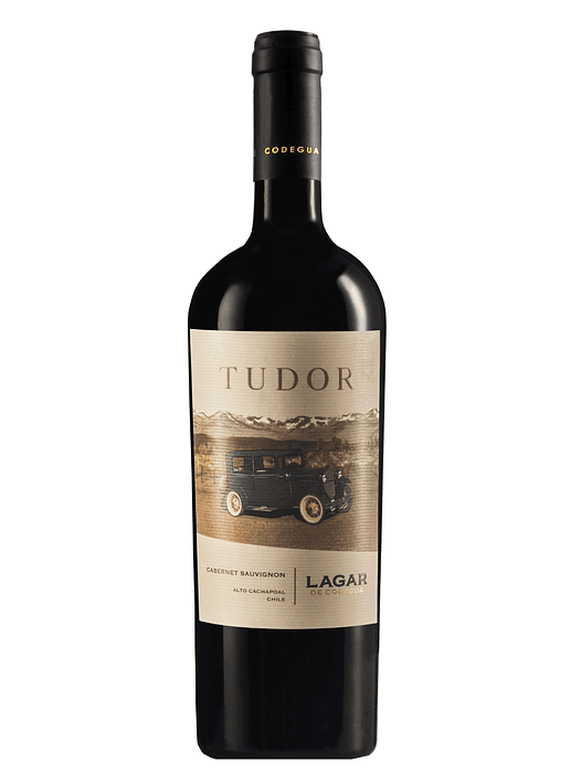 Vino Lagar de Codegua Tudor 2019 2