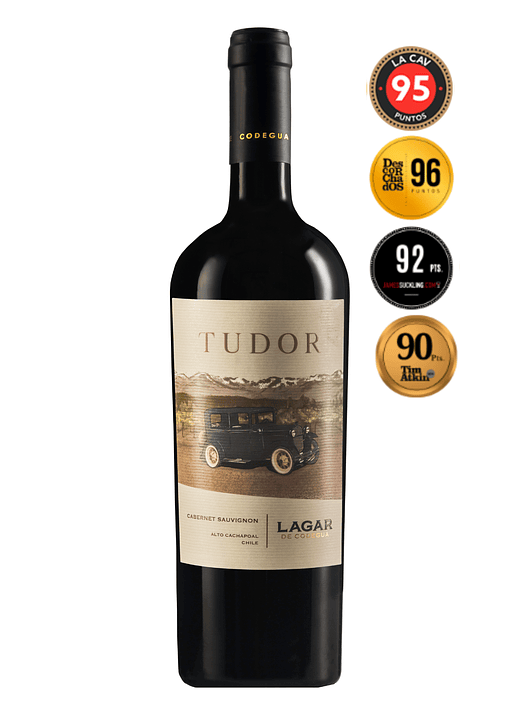 Vino Lagar de Codegua Tudor 2019 1