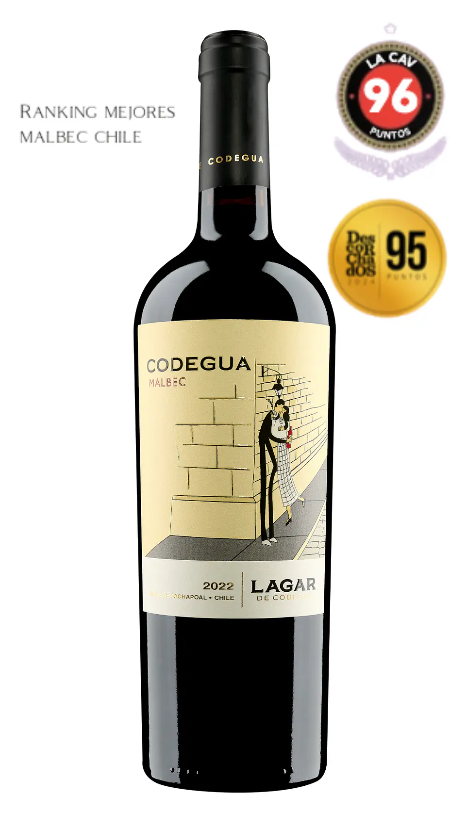 Vino Lagar de Codegua Malbec 1