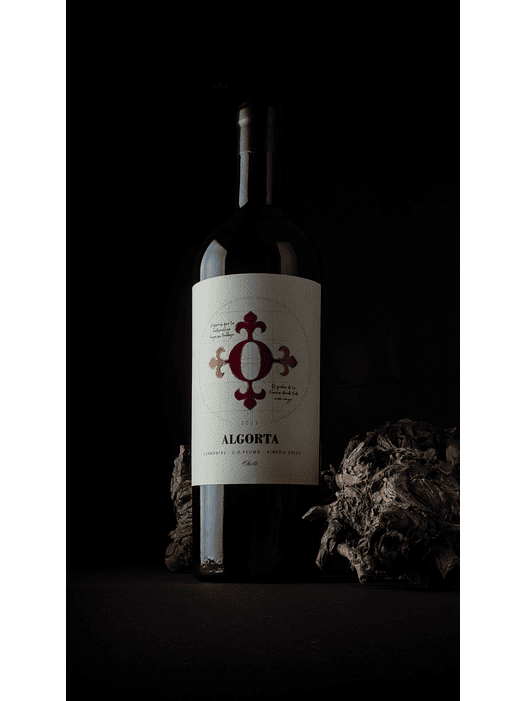 Vino Algorta Icono Carmenere 3