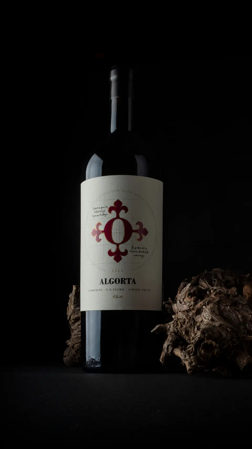 Vino Algorta Icono Carmenere 4