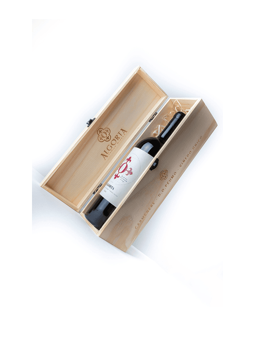 Vino Algorta Icono Carmenere 2