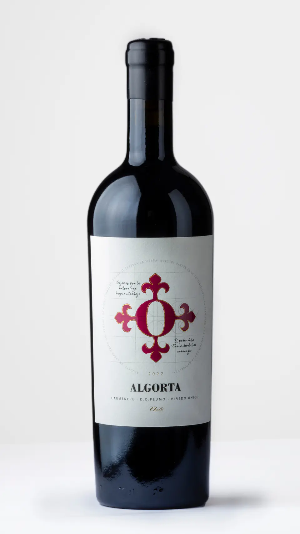 Vino Algorta Icono Carmenere 2