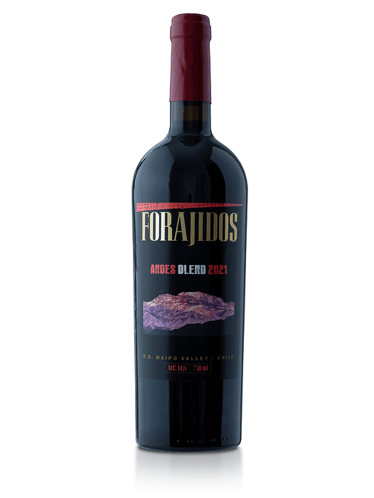 Vino Forajidos Andes Blend 2021 1