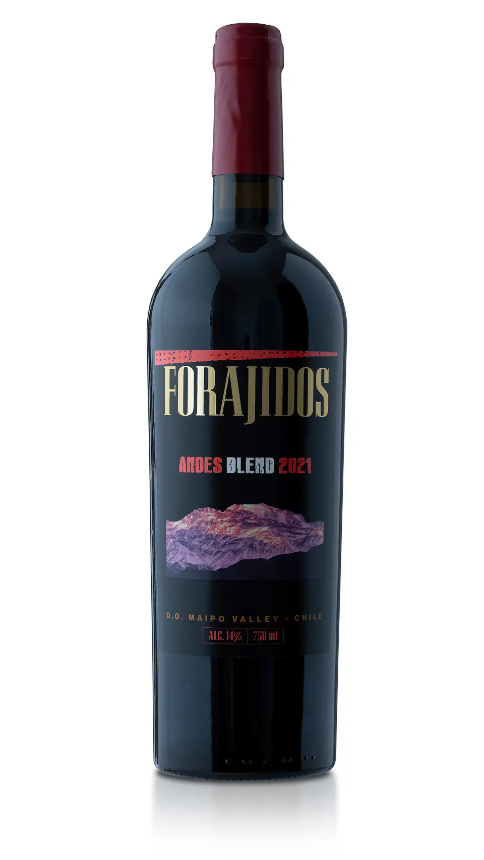Vino Forajidos Andes Blend 2021 2