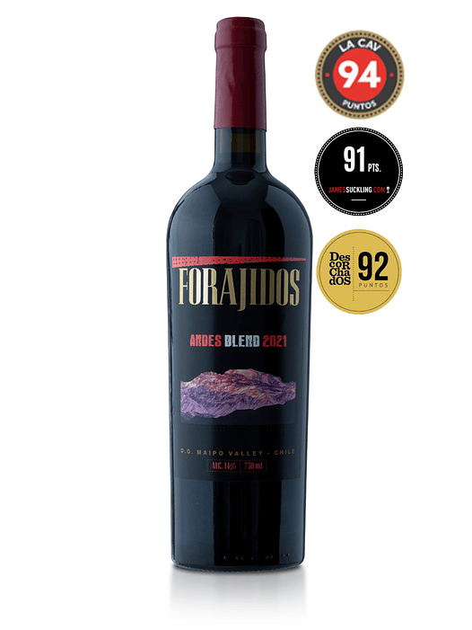 Vino Forajidos Andes Blend 2021 1