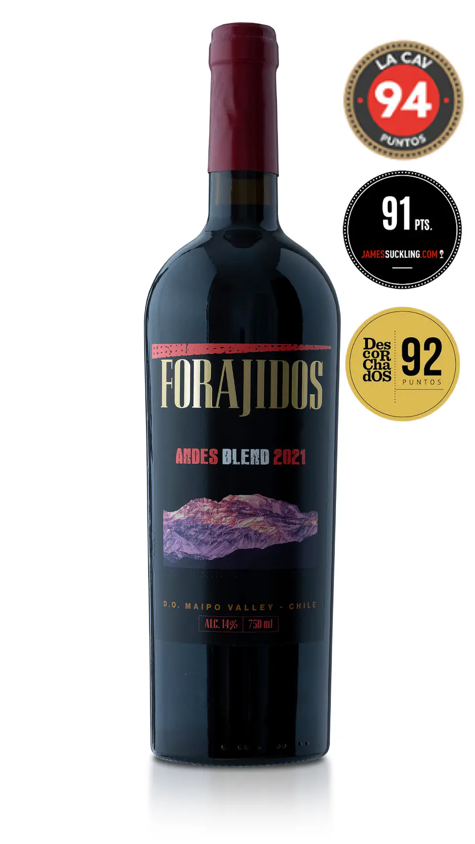 Vino Forajidos Andes Blend 2021 1