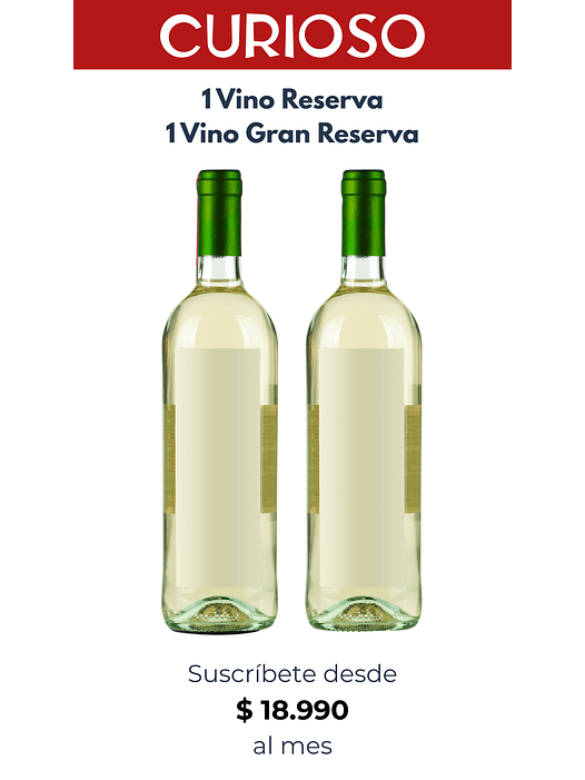 Suscripción Curioso 2