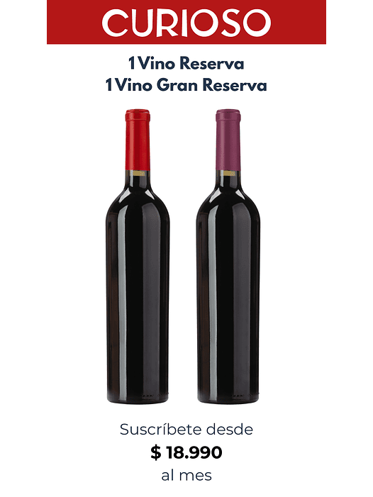 Suscripción Curioso 1