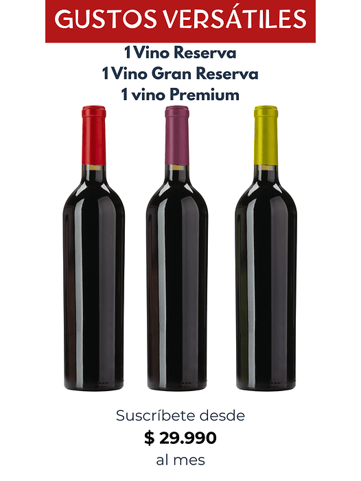 Suscripción Gustos Versátiles