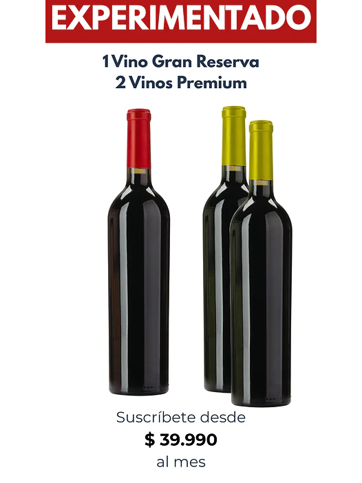 Suscripción Experimentado