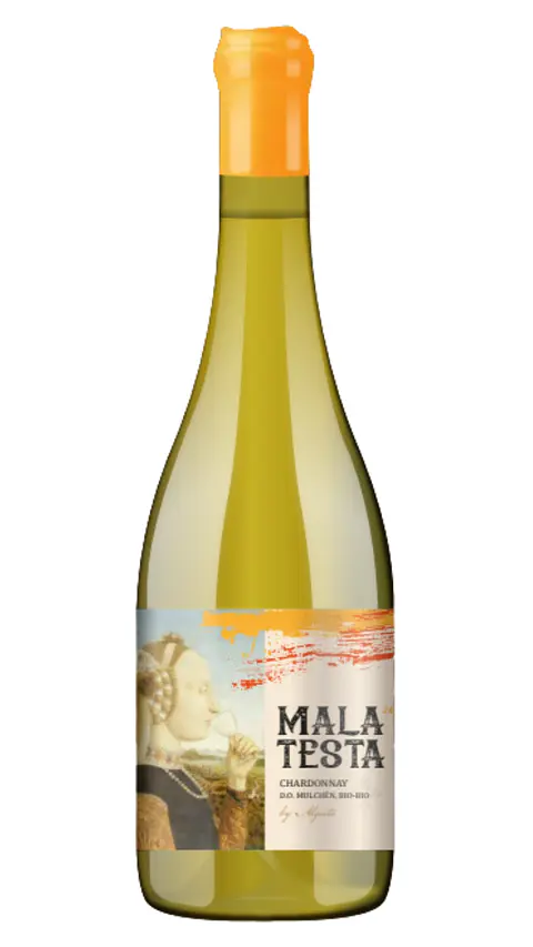 Vino Mala Testa Chardonnay By Algorta