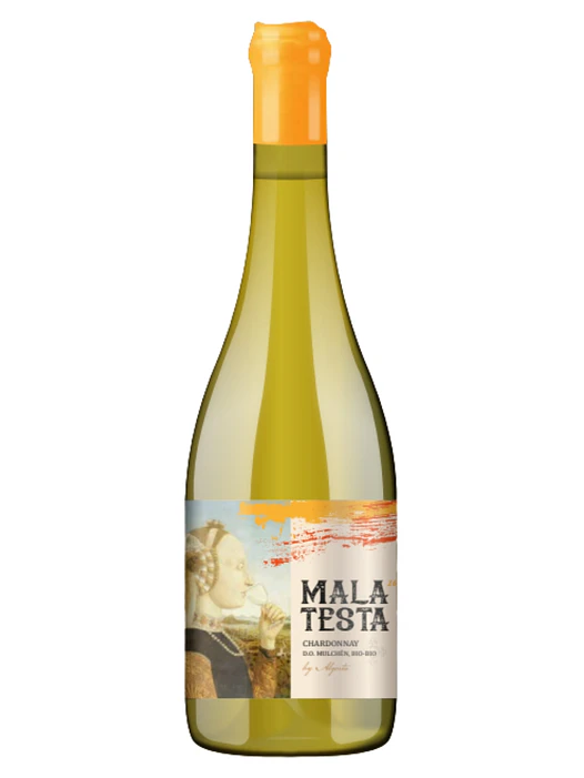 Vino Mala Testa Chardonnay By Algorta