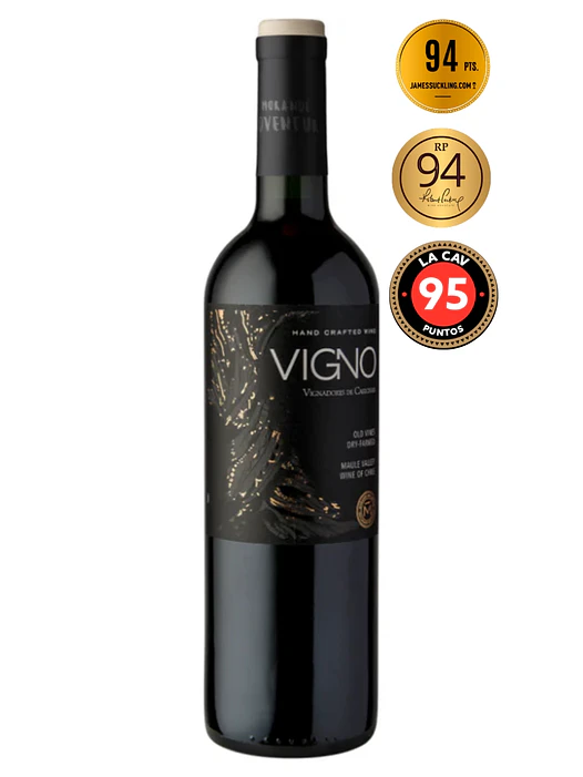 Vino Morandé Adventure Vigno Carignan 1