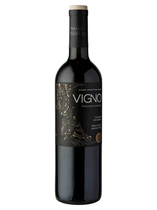 Vino Morandé Adventure Vigno Carignan 2