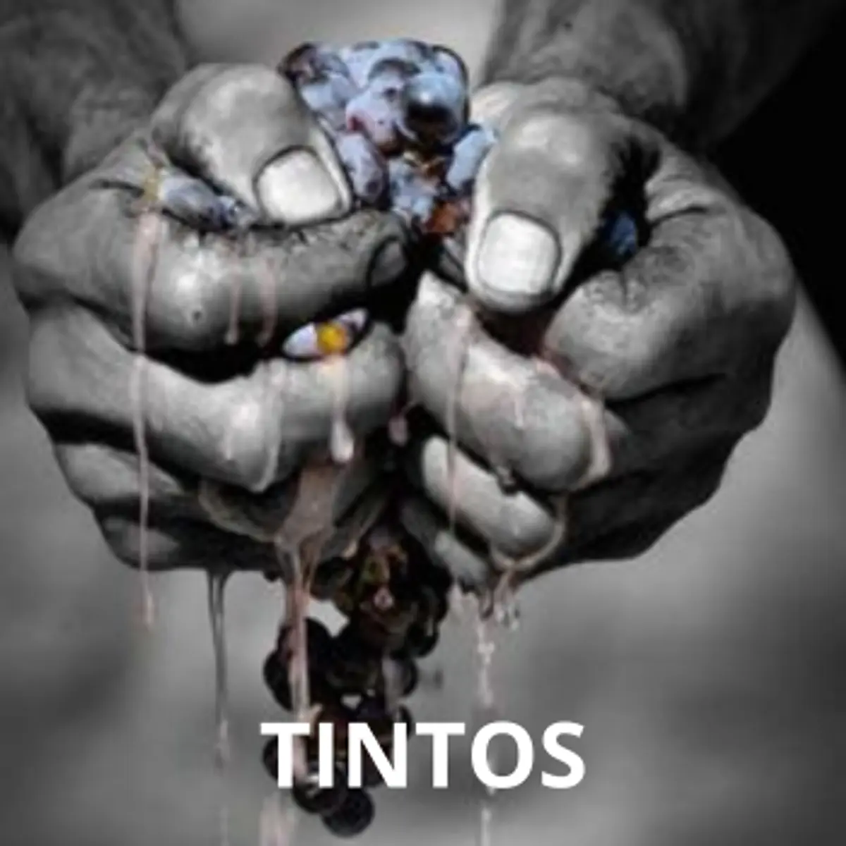 Vaya con Vino Club