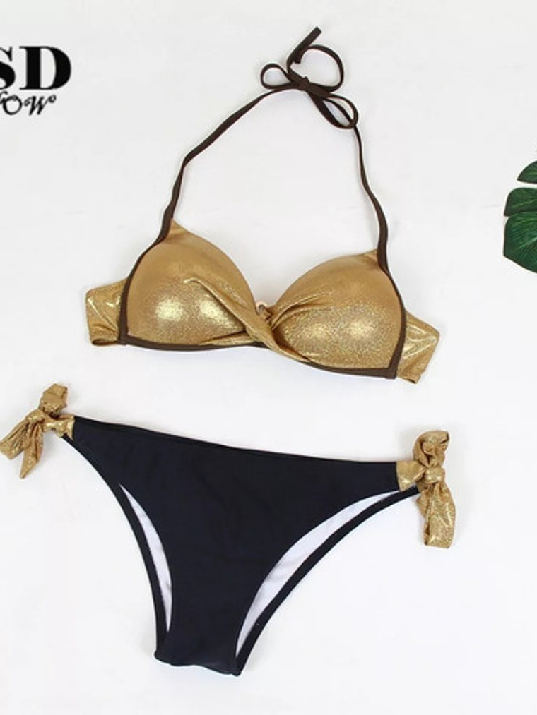 Bikini Bravia Push Up 2