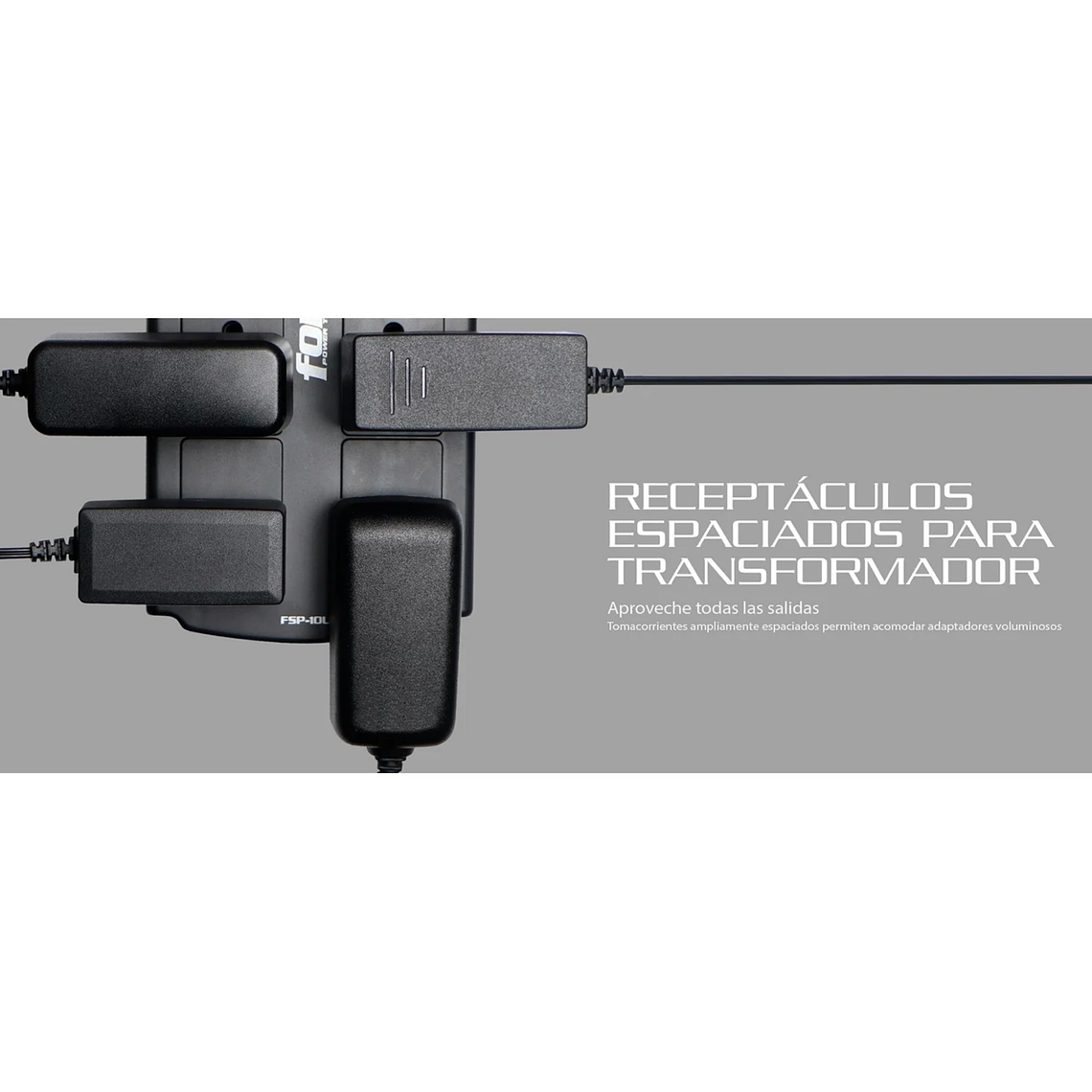 Supresor de Picos Forza FSP-10UN 1080J 10 Tomas universal 5