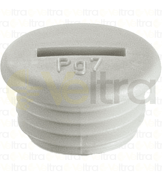 TAPON ROSCADO PG7