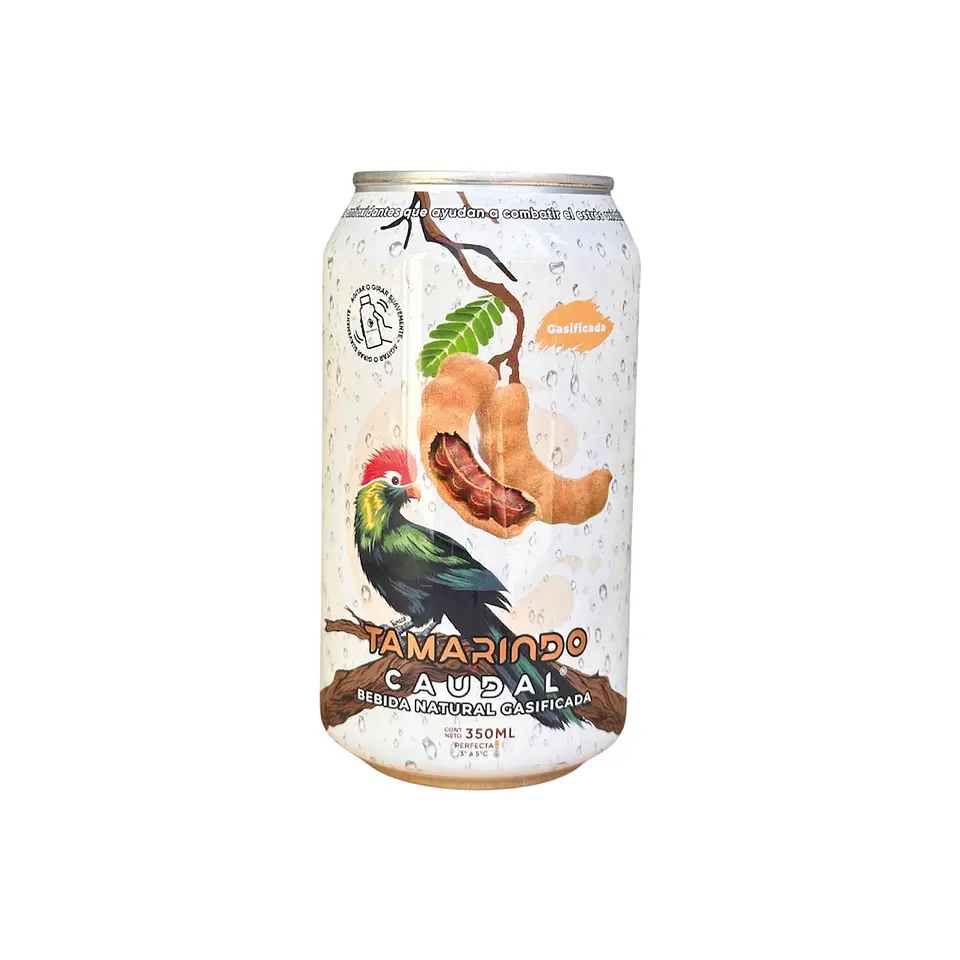 BEBIDA GASIFICADA NATURAL 350 ml - CAUDAL 1