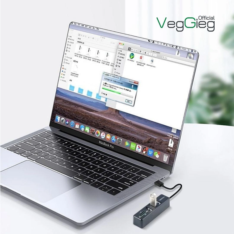 Hub USB 2.0 con 3 Puertos + Lector SD/TF VegGieg V-C303 3