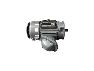 FAM0156298388WTY  MOTOR 3F 20HP 3000RPM 380V 284TSD XP