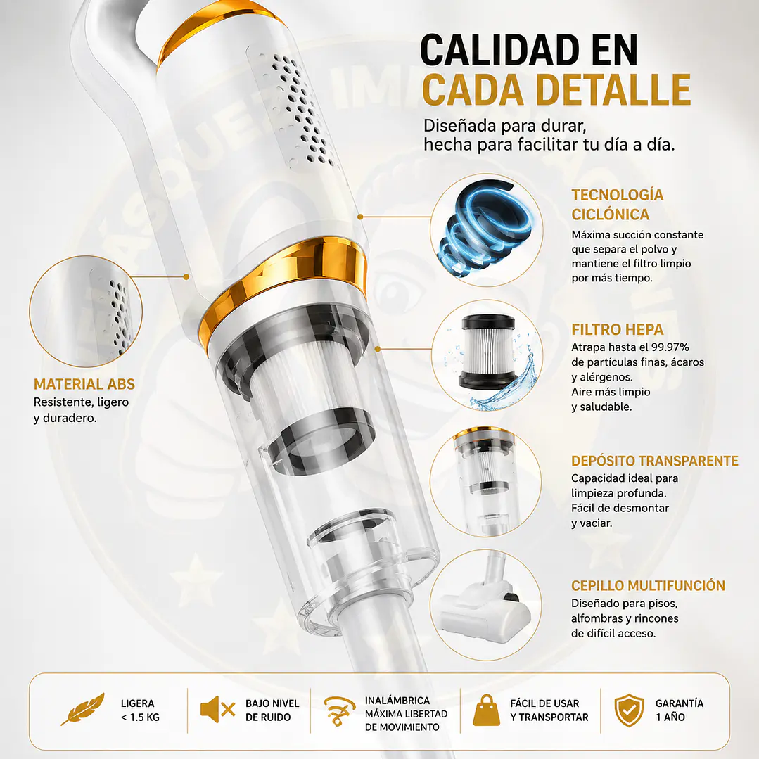 Aspiradora Doméstica De Alta Potencia B Wirelle 4001 2