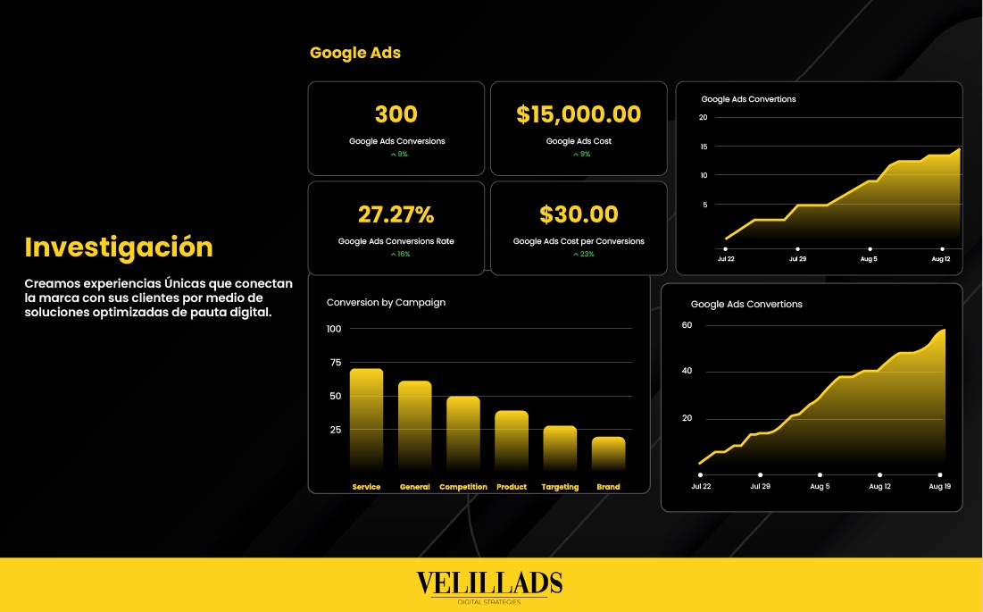 PAID MEDIA - CAMPAÑAS PUBLICITARIAS
