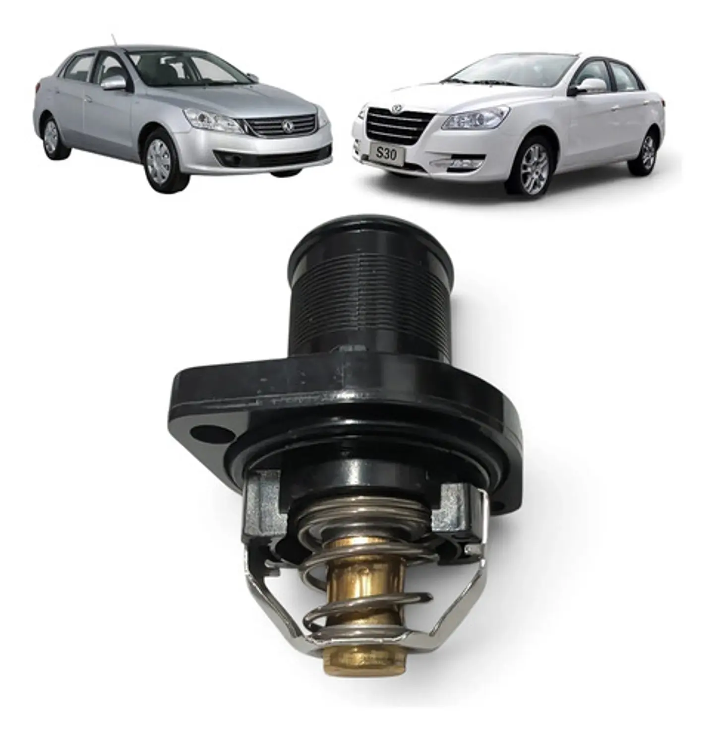 Termostato Completo Dfm S30 1.6 1