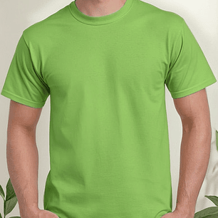 Pack 3 Camisetas De Niñ@s De 100% Algodón Manga Corta 