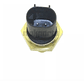 Sensor Témperatura Jeep Grand Cherokee - Miniatura 2