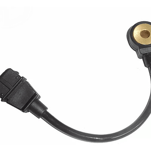 Sensor Detonacion Fiat Palio 1.6
