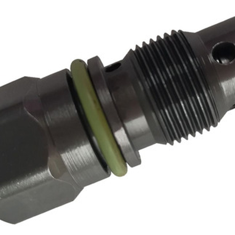 Válvula Alivio Para Bomba Bosch F00n200798 Vw Renault Ford 2