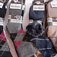 Pack De 3 Pares De Calcetines Hombre Angora Lana De Oveja - Miniatura 4