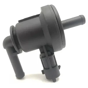Válvula De Purga Compatible Kia Rio 3
