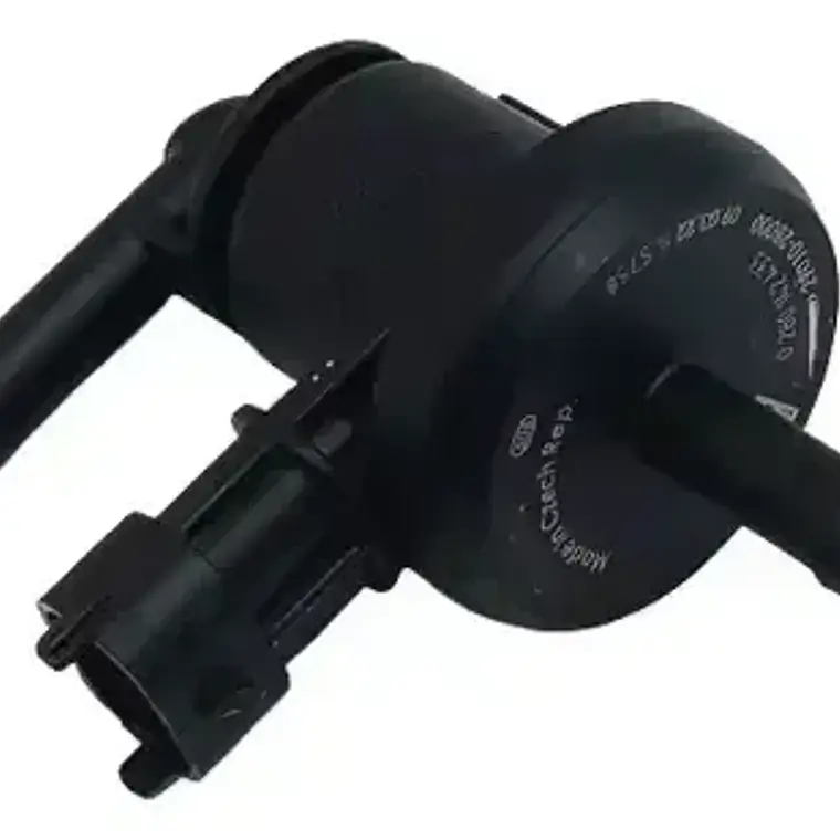 Válvula De Purga Compatible Kia Soul 1.6 1