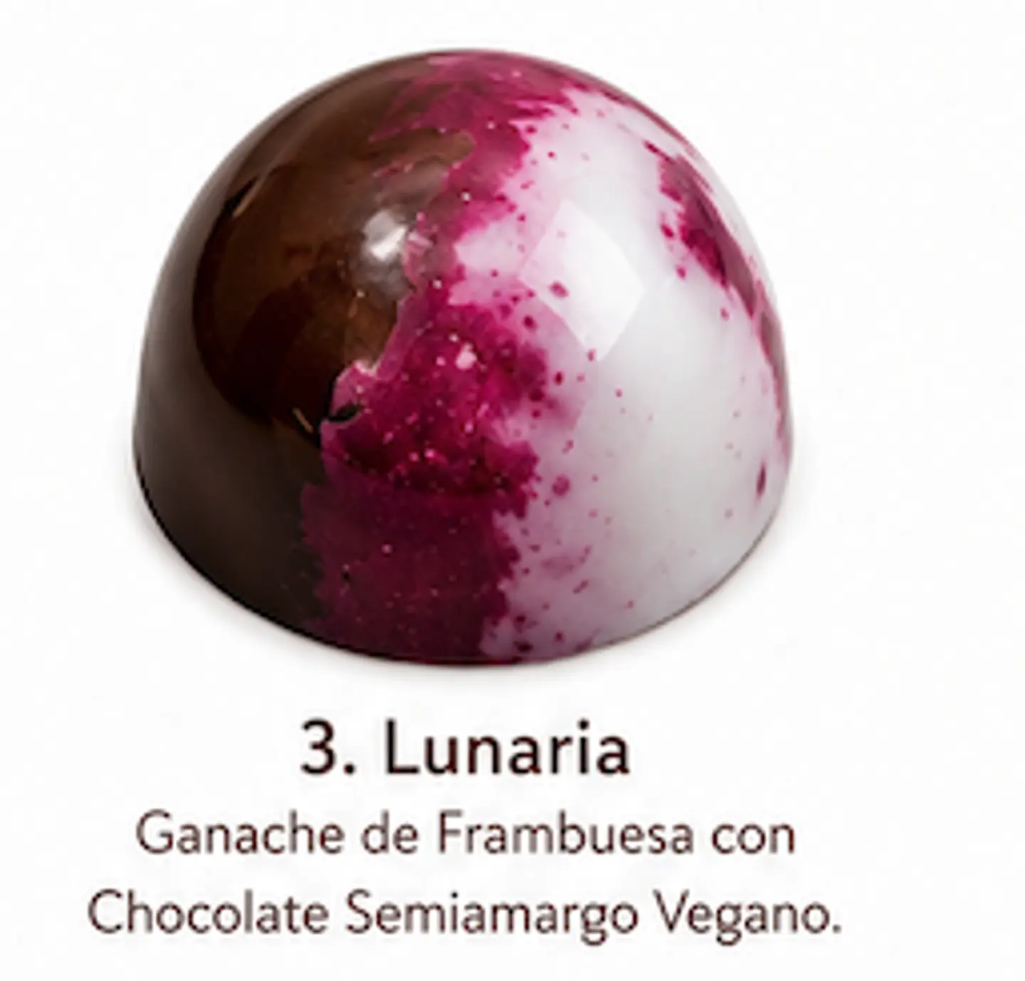 Bombón Vegano - Caja 9 unidades 4