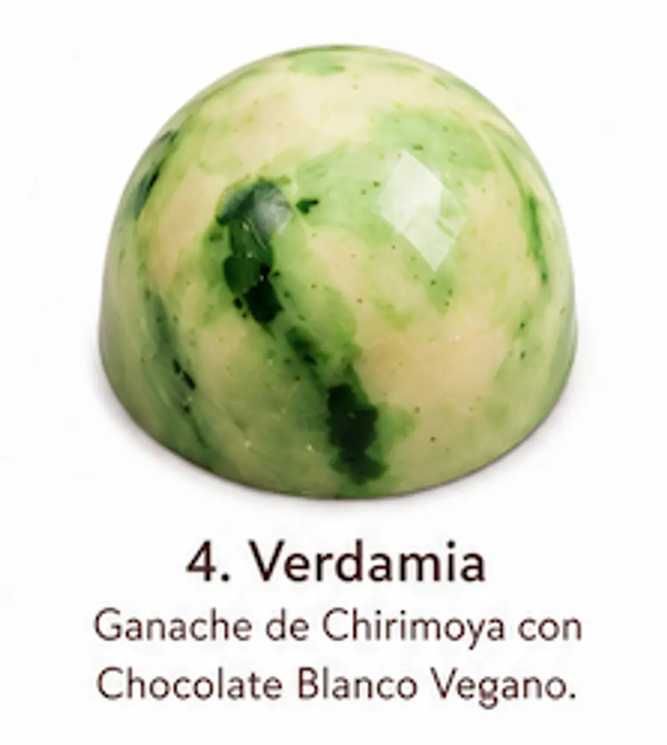Bombón Vegano - Caja 9 unidades 5