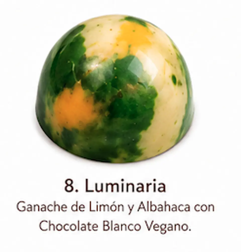 Bombón Vegano - Caja 9 unidades 9