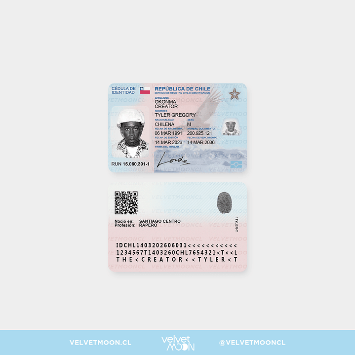 CARNET PVC TYLER THE CREATOR 1