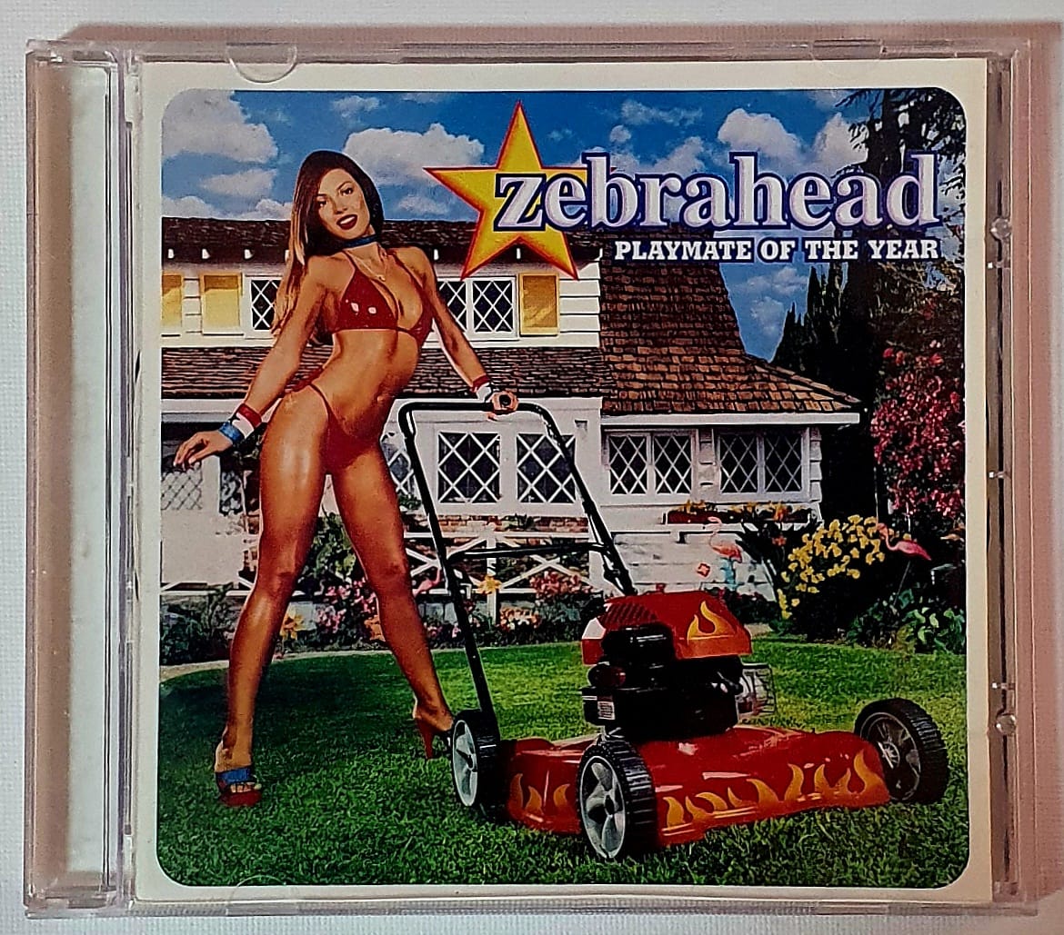 CD Zebrahead, Playmate Of The Year